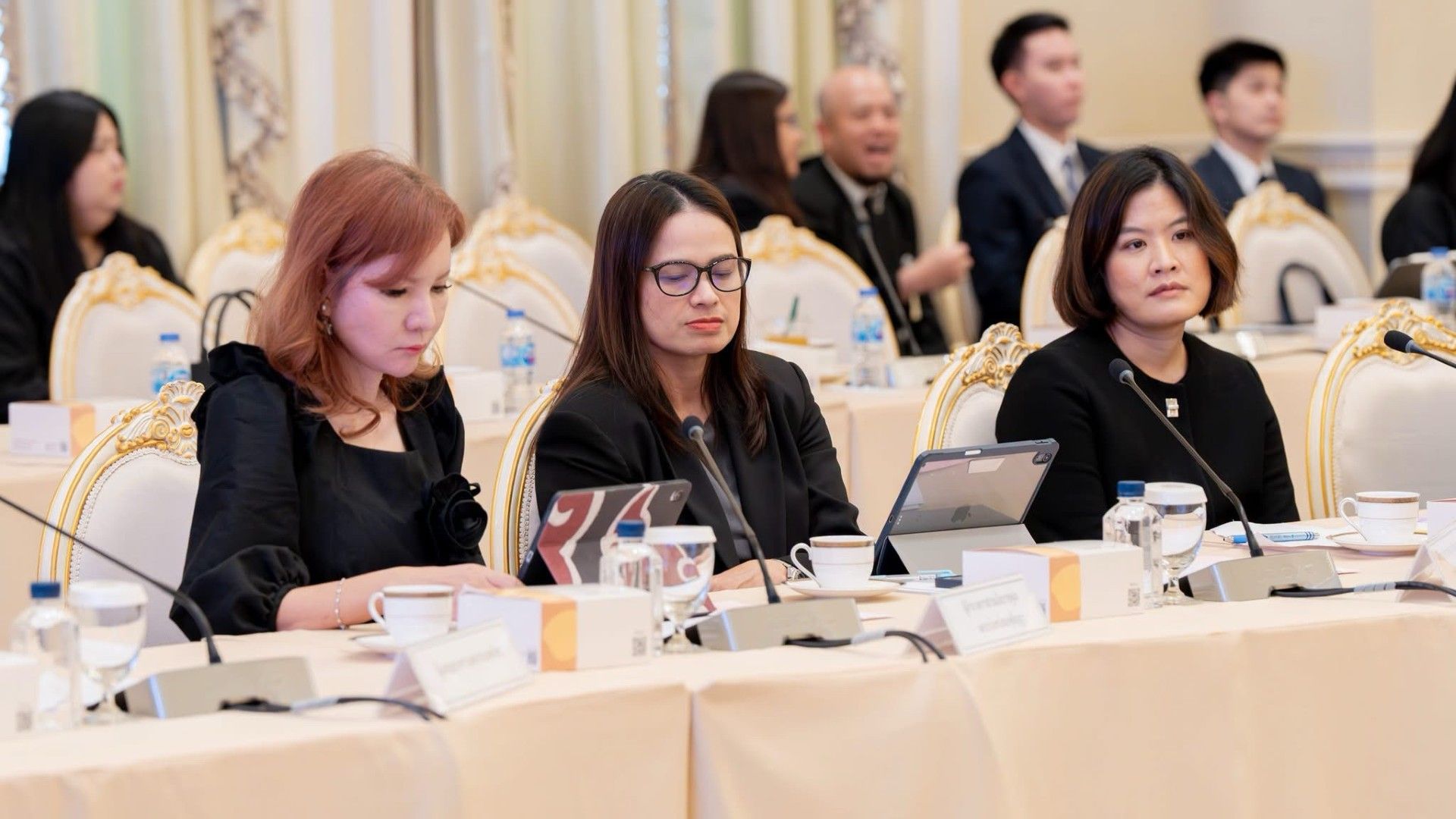 Liaison Officer training for the 2026 IMF–World Bank Group Annual Meetings.